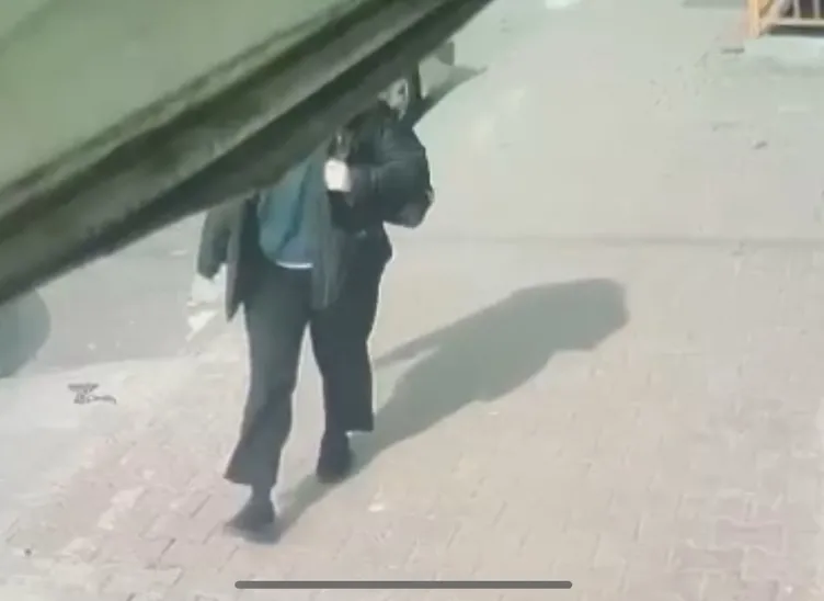 SON DAKİKA! Belgrad Ormanı'nda kaybolmuştu! Peyzaj mimarı Ece Gürel sağ olarak bulundu