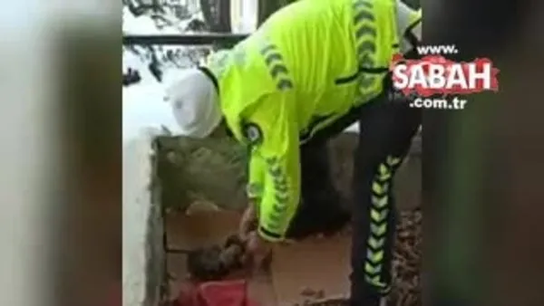 Polis yavru köpekleri soğuktan böyle korudu | Video