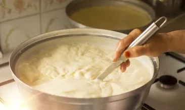 Meğer aşçılar bu mayalama yöntemini uyguluyormuş! İşte yoğurdu taş gibi yapan formül…