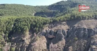 Ankara’nın saklı doğa harikası Kurumcu Şelalesi böyle görüntülendi | Video