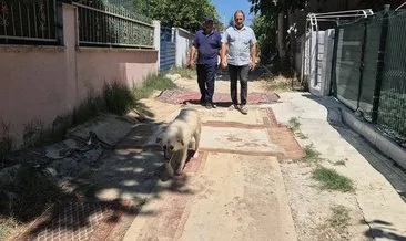 Bu ilçede yollar çamurdan geçilmiyor! Vatandaşlar CHP'li belediyeye isyan etti: Yetkililerden artık bir çözüm bekliyoruz... #tekirdag