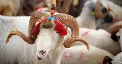 Kurban Bayramı ne zaman, bayram tatili 9 gün mü olacak? 2026 Kurban Bayramı takvimi!