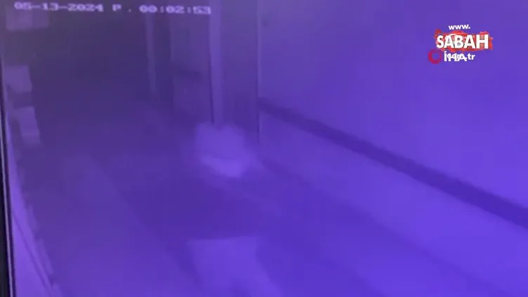 Hastanede ölü bulunan hemşirenin son görüntüleri ortaya çıktı | Video