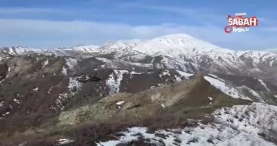 Bozdoğan-37 operasyonlarında 92 mağara, sığınak ve barınma alanı imha edildi | Video