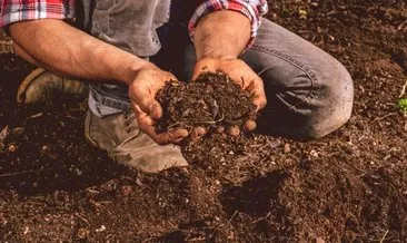 Ruyada Toprak Gormek Ne Anlama Gelir Haberleri Son Dakika Ruyada Toprak Gormek Ne Anlama Geli