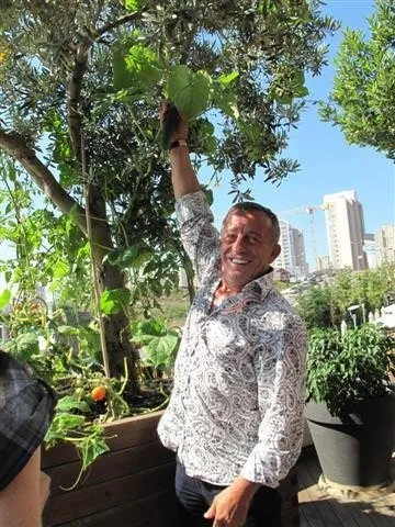 Ali Ağaoğlu