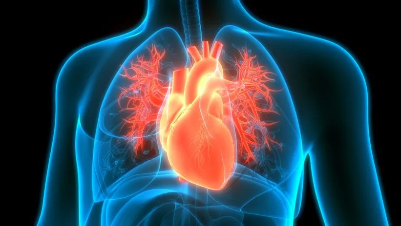 Kalp damar hastalıklarında yüzde 80 oranında koruma sağlıyor