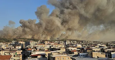 SON DAKİKA | Minibüste çıkan yangın ormana sıçradı! Bakan Yumaklı son durumu açıkladı