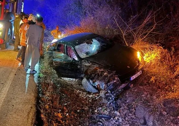 1765356669415.png (629×445)