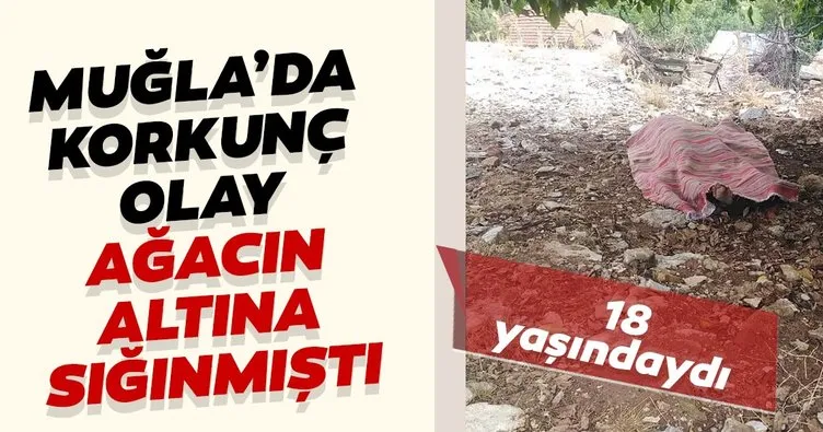 Muğla’da korkunç olay: Ağacın altına sığınmıştı, yıldırım öldürdü