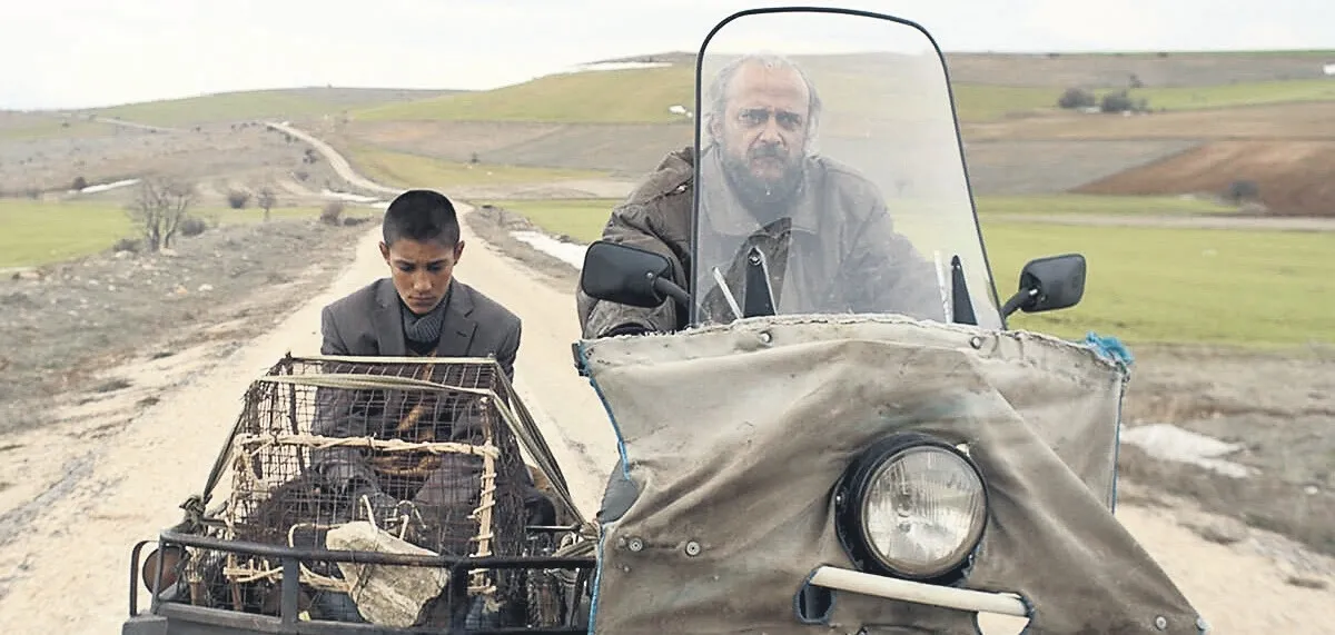 Tazılar, tavşanlar ve bir çocuğun umudu