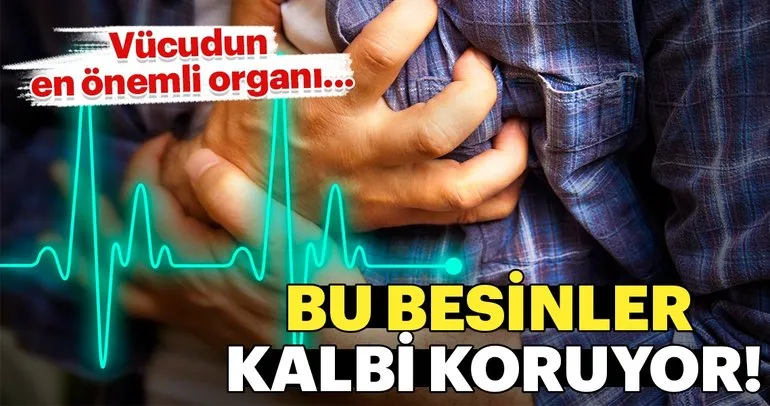 migrene iyi gelen besinler