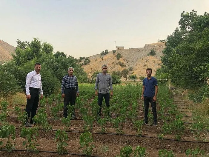 28 yıllık hasret sona erdi! Terörden temizlendi tarım başladı... - 4