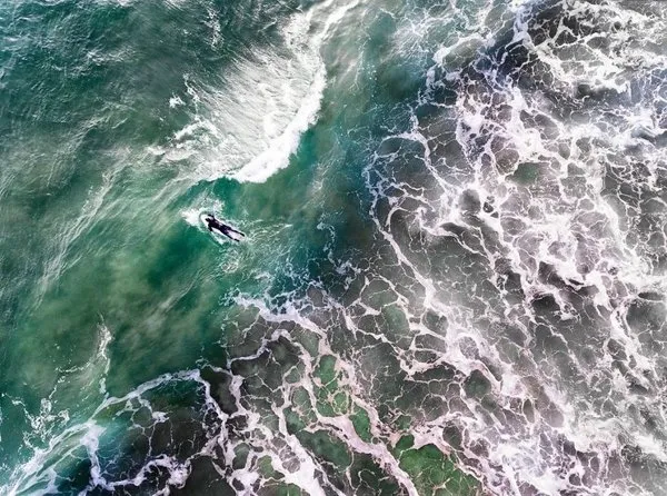 İşte bu yılın en iyi drone fotoğrafları