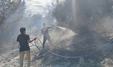 Antalya’da ormanlık alanda yangın!