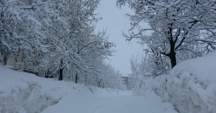 Bitlis’te kar yağışı etkisini artırdı