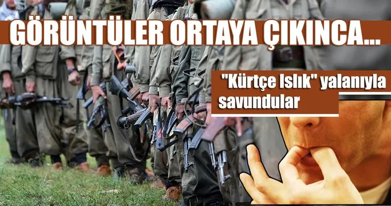 PKK marşı çalan ve polise saldıranları ıslık yalanıyla savundular