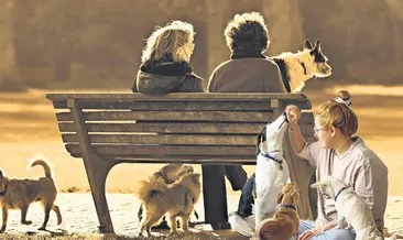 Çocuğun yerini köpek aldı