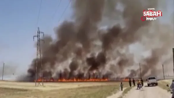 YPG/PKK, sivillerin tarım arazilerini yaktı | Video
