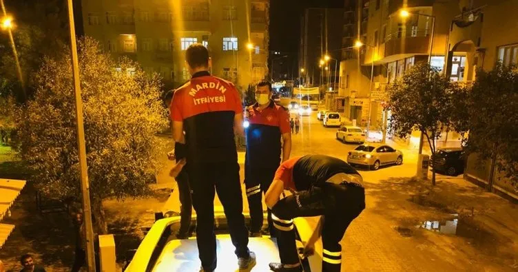 Mardin’de otobüsün klima motoruna sıkışan kedi kurtarıldı