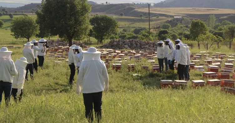 Şırnak’ta arıcılara 5 bin arılı kovan dağıtıldı