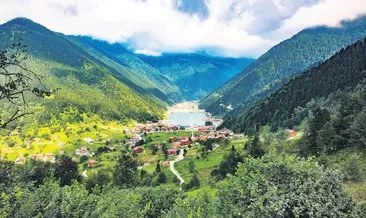 Karadeniz yaylalarında bir öze dönüş hikâyesi... #giresun