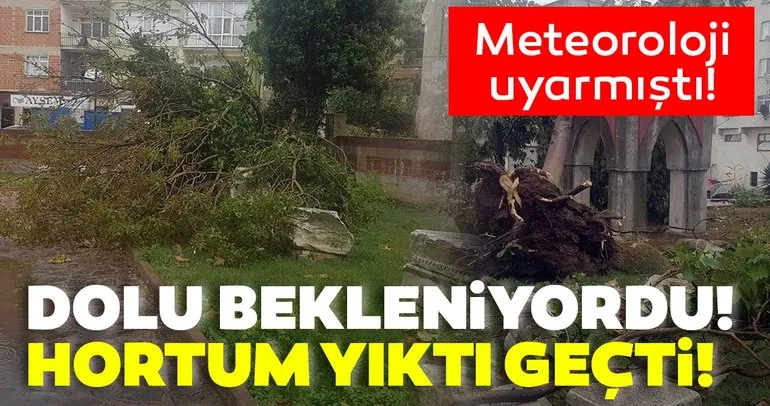 Son Dakika Haberi: Meteoroloji uyarmıştı! Tekirdağ’da hortum ağaçları devirdi, çatıları uçurdu