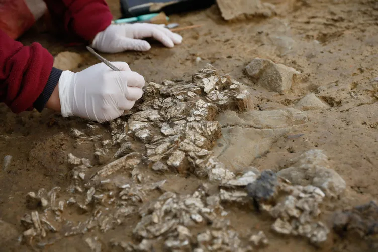 İstanbul Beşiktaş’ta ilginç keşif: 5500 yıl sonra gün yüzüne çıktı!