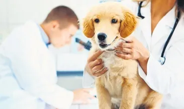 Dostlarımızı da kanserden kaybediyoruz