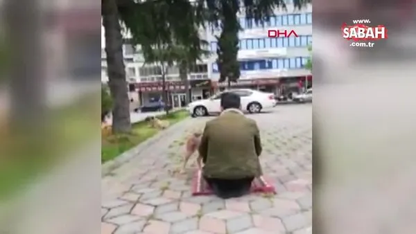 Trabzon'da ilginç görüntü! Beslediği sokak köpeği namazda yanından ayrılmadı