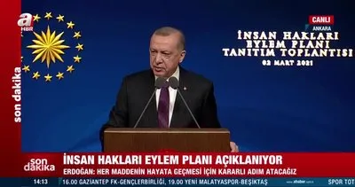 Başkan Erdoğan 11 maddelik İnsan Hakları Eylem planını açıkladı | Video