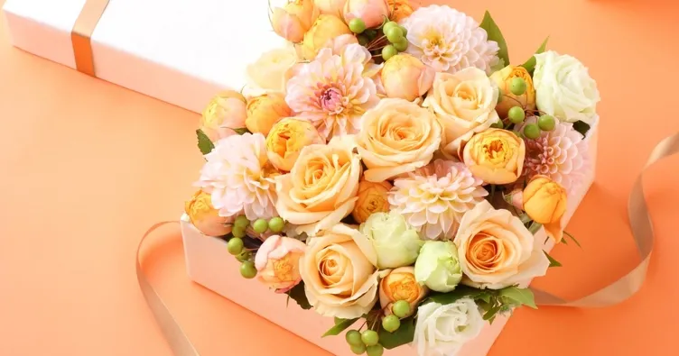 odanızda şakayık bulundurun ile ilgili görsel sonucu