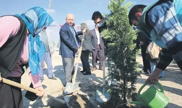 250 bin metrekare yeşil alan ve park