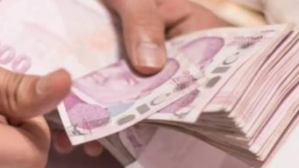 'Güneş tarlası' vaadiyle vurgunda 15 şüpheli tutuklandı