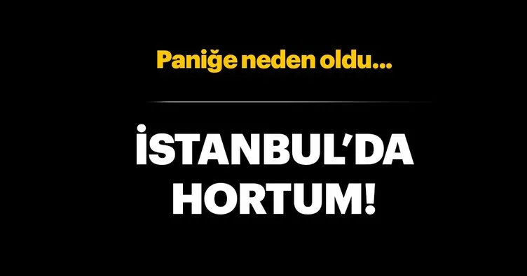 Son dakika: İstanbul’da hortum!