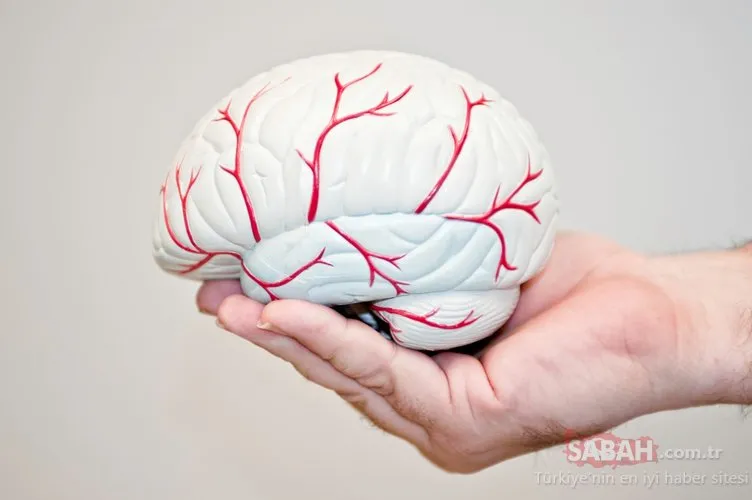 Beyin kanaması belirtileri nelerdir? İşte beyin kanamasının 10 kritik belirtisi...