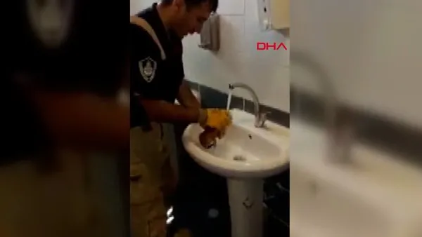 İstanbul Esenyurt'ta itfaiye eri kurtardığı yavru kediyi elleriyle yıkadı