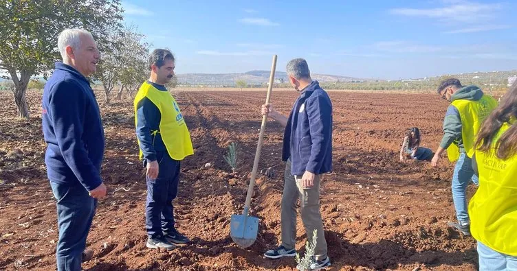 Fidanlar Aybüke öğretmen için dikildi