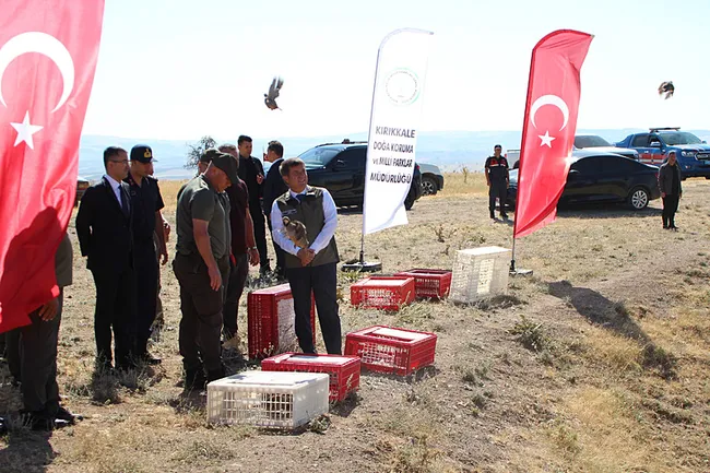 keneye-karsi-dogal-hamle-avci-keklikler-dogaya-salindi-1786549221468.jpeg