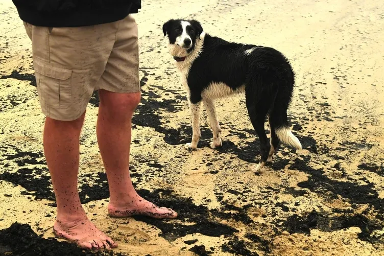 Avustralya yanıyor! NASA'dan korkutan görüntü...