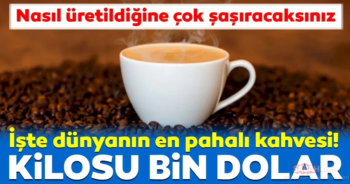 Kilosu bin dolar! İşte dünyanın en pahalı kahvesi… Galeri