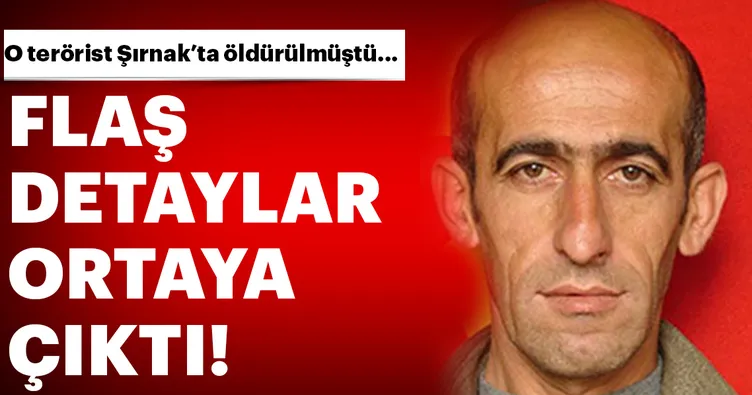Son dakika: Şırnak'ta öldürülen PKK'lı terörist 26 yıldır örgütteymiş