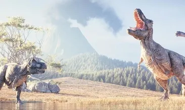 Kanser hastalığının kökenine iniliyor