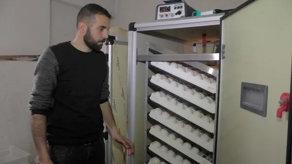 Evini satarak kaz çiftliği kurdu