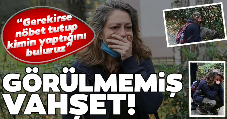 İzmit’te köpek katliamı