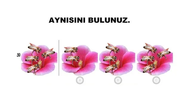 66. ay okuma öğrenmeye hazır mı?