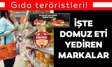 Hileli gıda teröristleri ile ilgili son dakika haberi: Bakanlık yayınladı! Domuz eti içeren hileli ürünler listesinde olanlar...