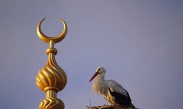 Eşinin öldüğü yerden ayrılmayan