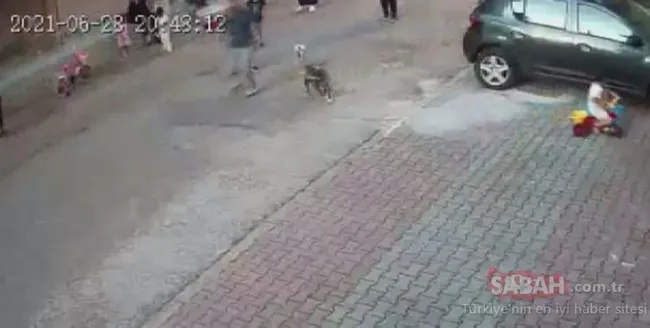 istanbulda-kopegin-saldirdigi-cocuga-30-dikis-atildi-supheliler-serbest-birakildi-1625144285694.jpg