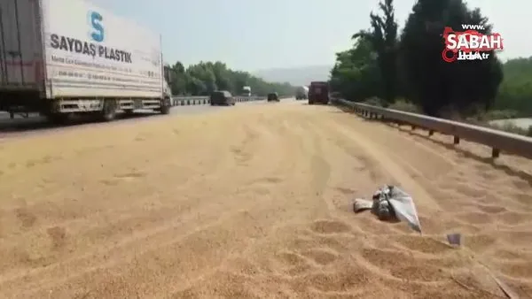 TEM Otoyolu'nda soya fasulyesi yüklü tır devrildi, yol soya fasulyesi ile kaplandı | Video